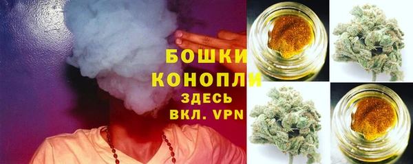 PSILOCYBIN Алексеевка