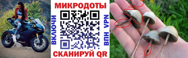 Галлюциногенные грибы GOLDEN TEACHER  гидра tor  Сибай 